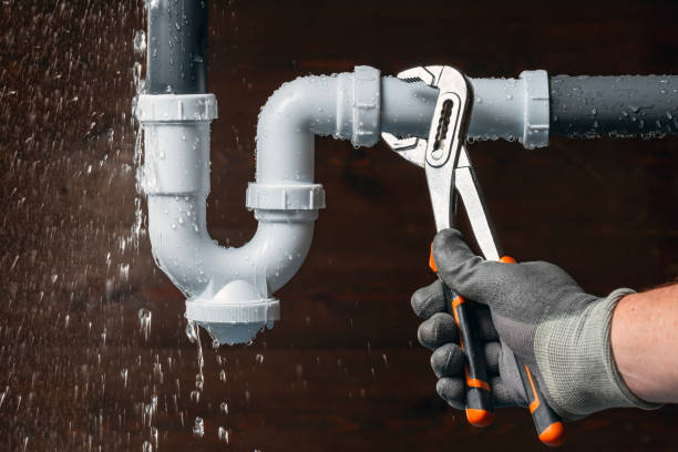 Professional Emergency Plumber technician working in Loretto, MN